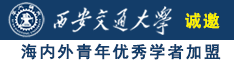 插鸡网站大全部诚邀海内外青年优秀学者加盟西安交通大学