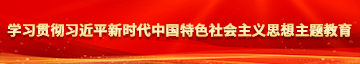 色艹屄网址学习贯彻习近平新时代中国特色社会主义思想主题教育